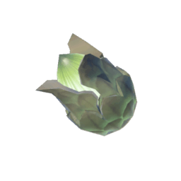 A picture of Brightbloom Seed