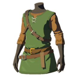 A picture of Tunic of the Wild